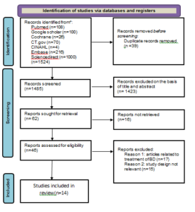 Figure 1: PRISMA Flow chart