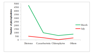 Figure 15: Monthly variation in group of Phytoplankton ingestion of Hilsha