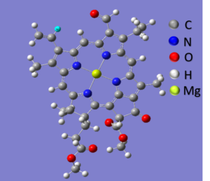 Figure 01: Geometrically optimized structure of Chlorophyll B molecule