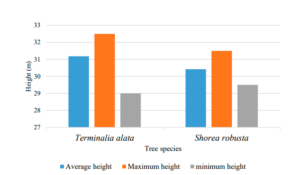 Average height, maximum height and minimum height of two different nesting tree species