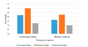 Average, maximum and minimum nest height (m) in the two different tree species