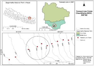 Distribution of red panda (through transect line points)