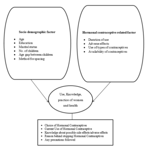 Theoretical framework of the study