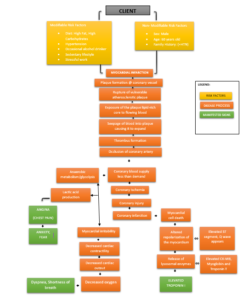 The schematic psychopath physiology of myocardial infarction (MI)