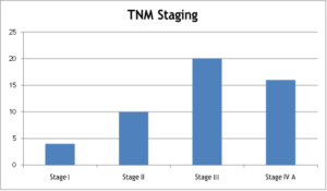 Distribution of the patients according to TNM staging (n=50).