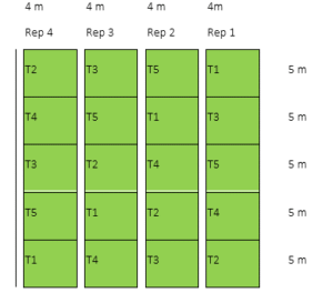  Experimental lay-out for the first cropping