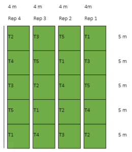 Experimental lay-out for the second cropping