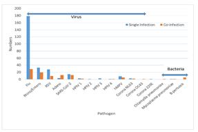Comparison of viral and bacterial frequency in single infection and coinfection
