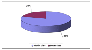 Socio-economic status of the study population