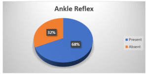 Ankle Reflex