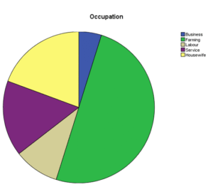 Occupational status of studied case