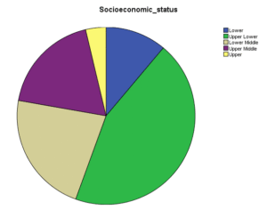 Socioeconomic Status of Studied case